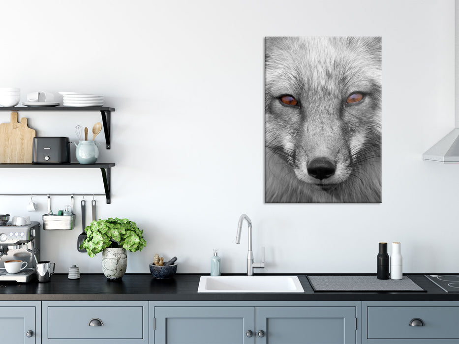 wunderschöner Fuchs im Portrait, Glasbild