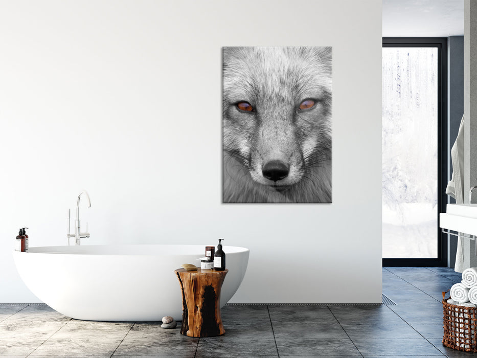 wunderschöner Fuchs im Portrait, Glasbild