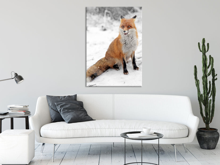 angespannter Fuchs im Schnee, Glasbild