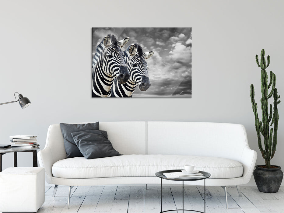 zwei Zebras, Glasbild