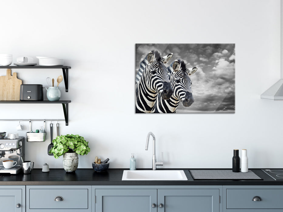 zwei Zebras, Glasbild