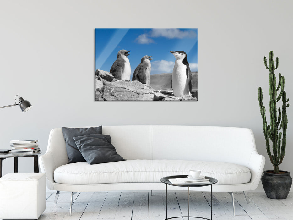 süße Pinguine, Glasbild