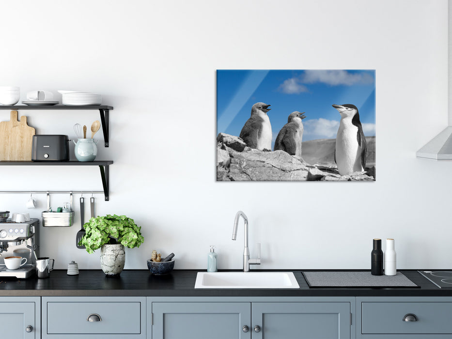 süße Pinguine, Glasbild