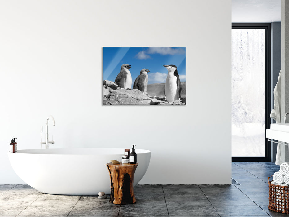 süße Pinguine, Glasbild