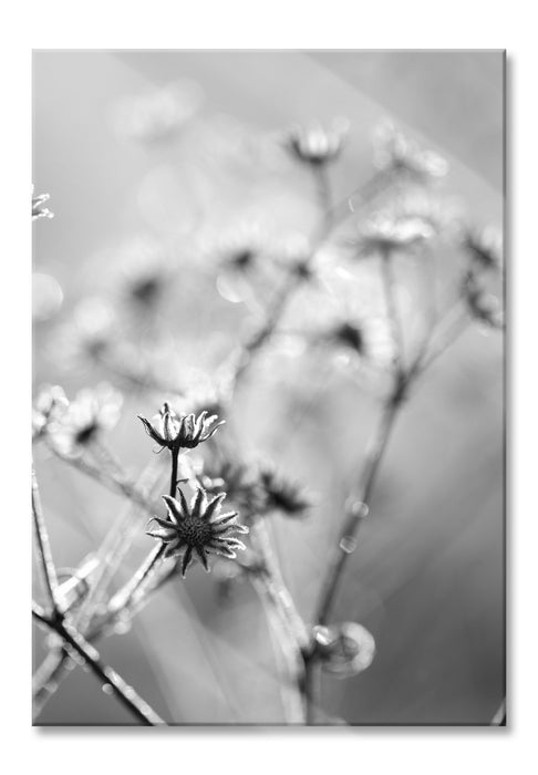 Gefrorene Blumen, Glasbild