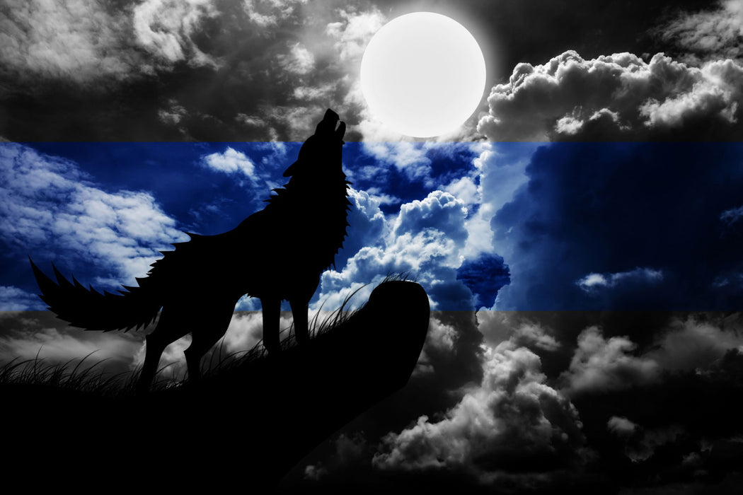 Wolf Silhouette im Vollmond, Glasbild