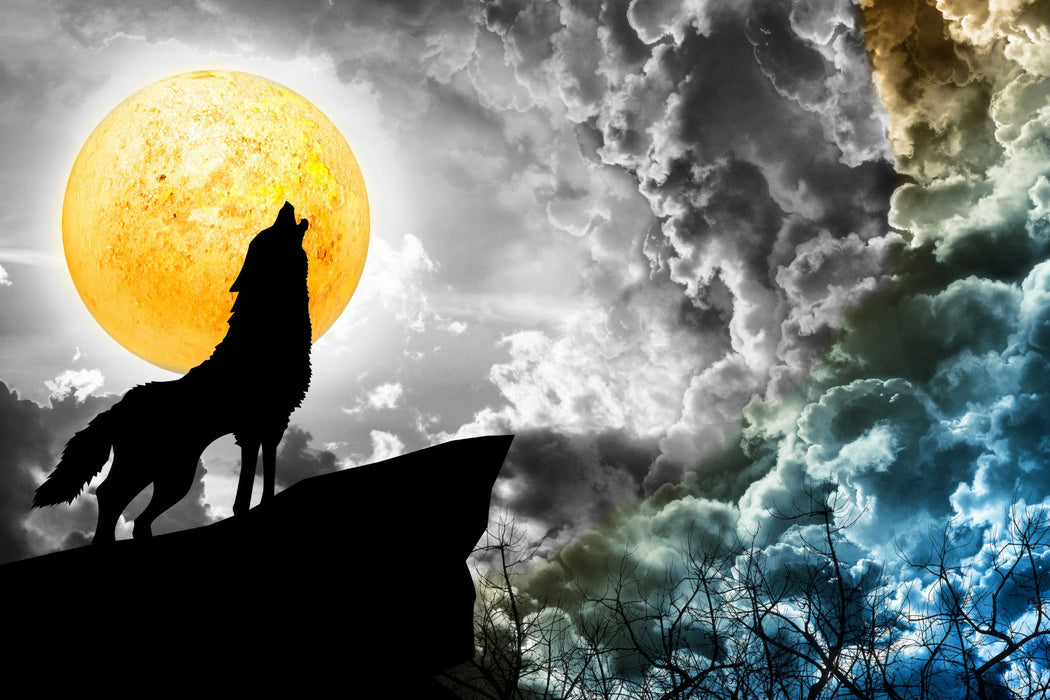 Mystischer Wolf im Vollmond, Glasbild