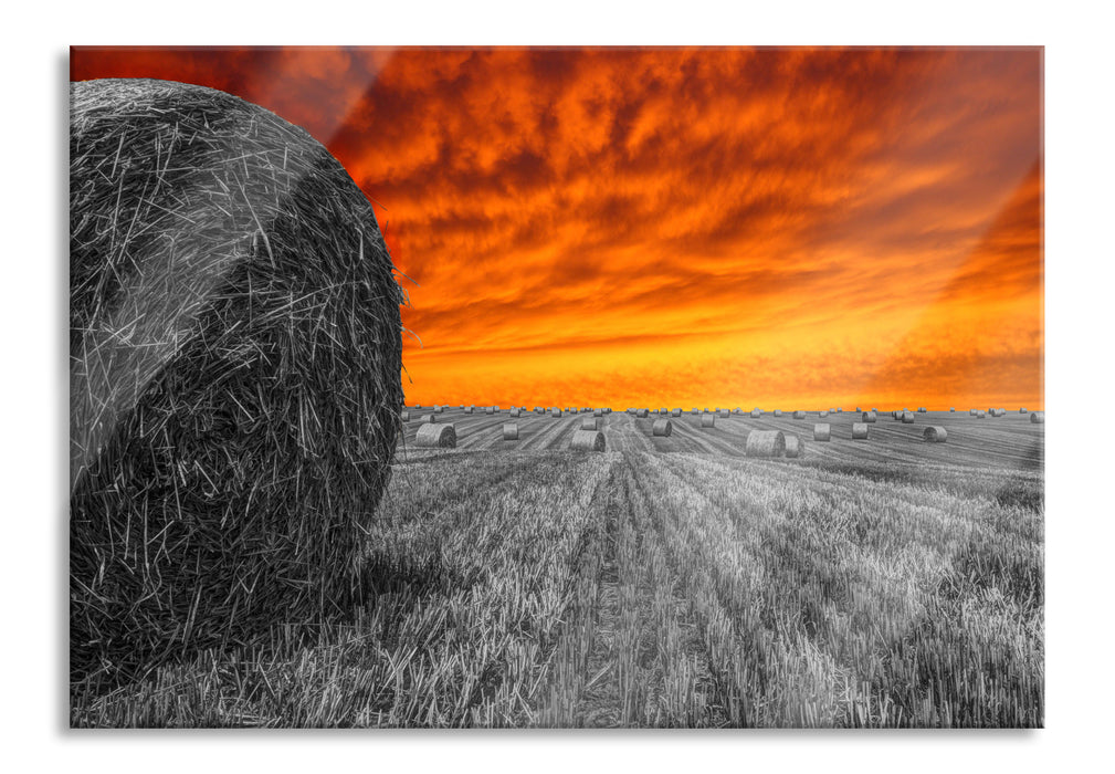 Sonnenuntergang Feldlandschaft, Glasbild