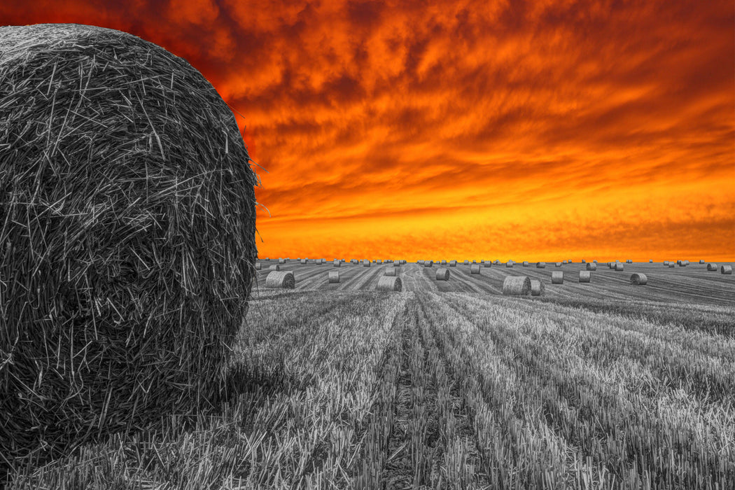 Sonnenuntergang Feldlandschaft, Glasbild