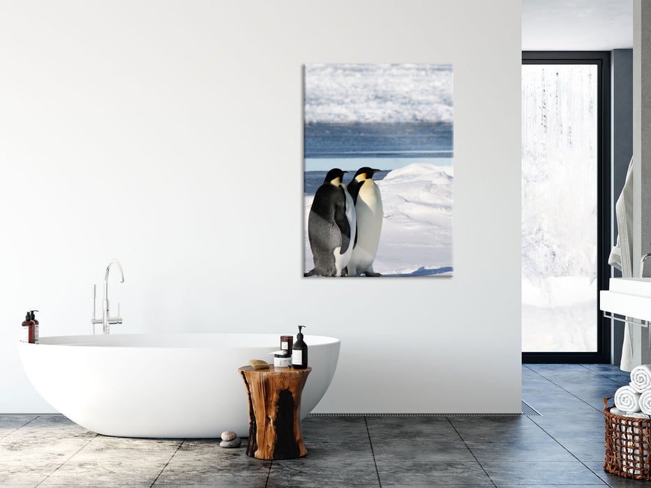 Kaiserpinguine, Glasbild