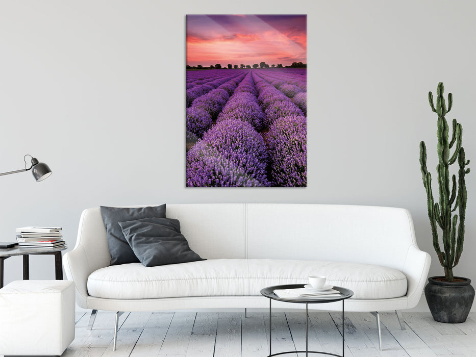 Wunderschöne Lavendel Provence, Glasbild