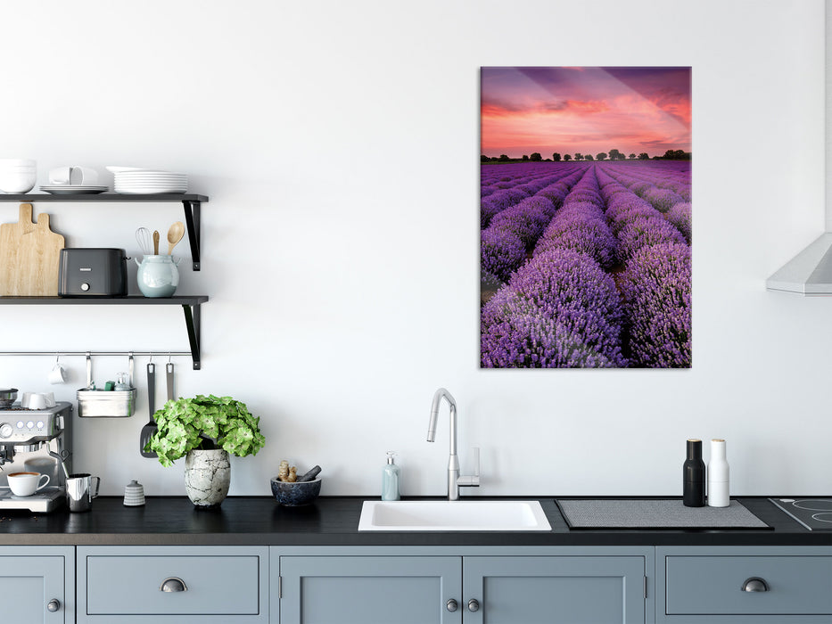 Wunderschöne Lavendel Provence, Glasbild