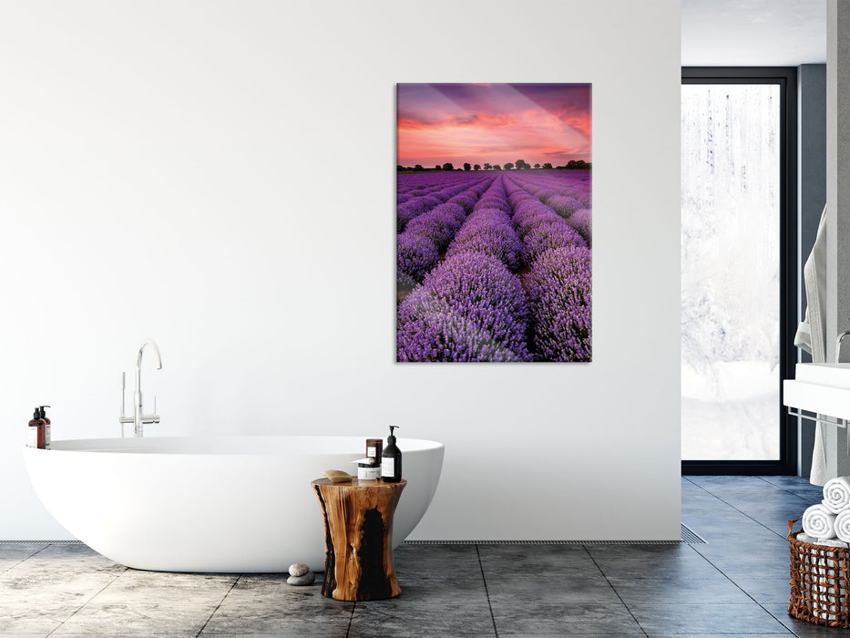 Wunderschöne Lavendel Provence, Glasbild