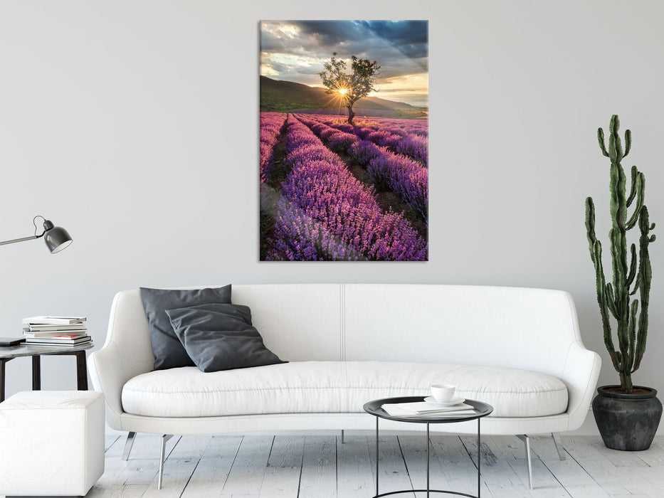 Lavendel Provence mit Baum, Glasbild