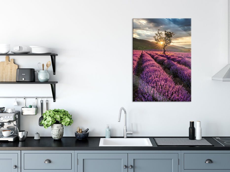 Lavendel Provence mit Baum, Glasbild