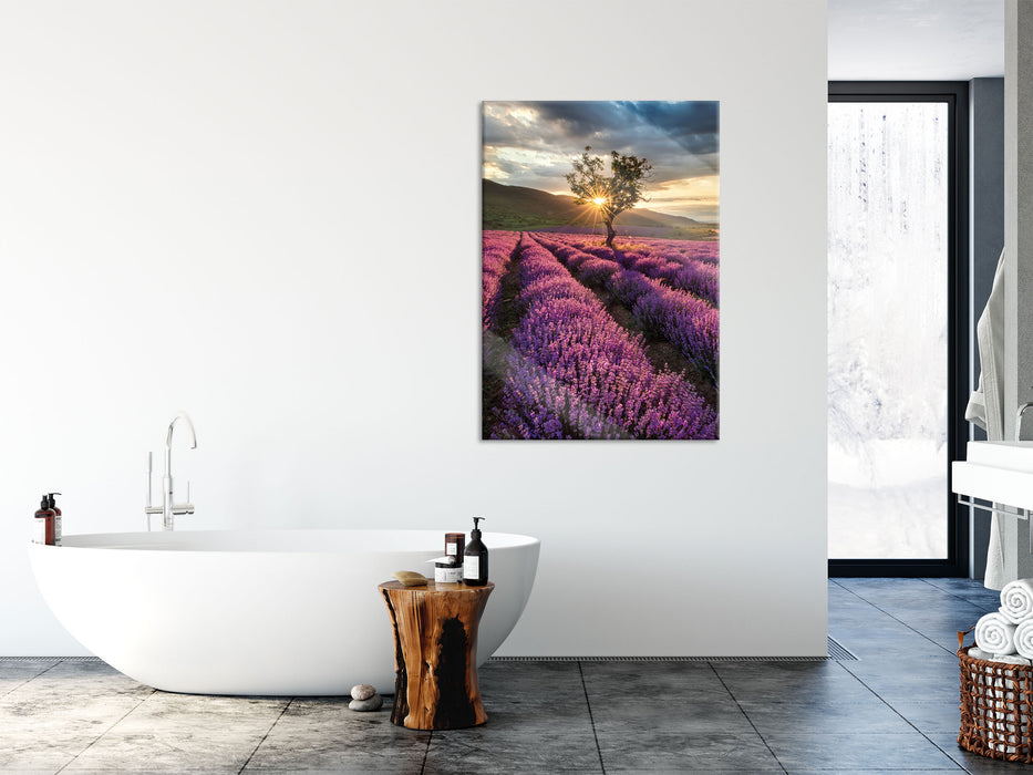 Lavendel Provence mit Baum, Glasbild