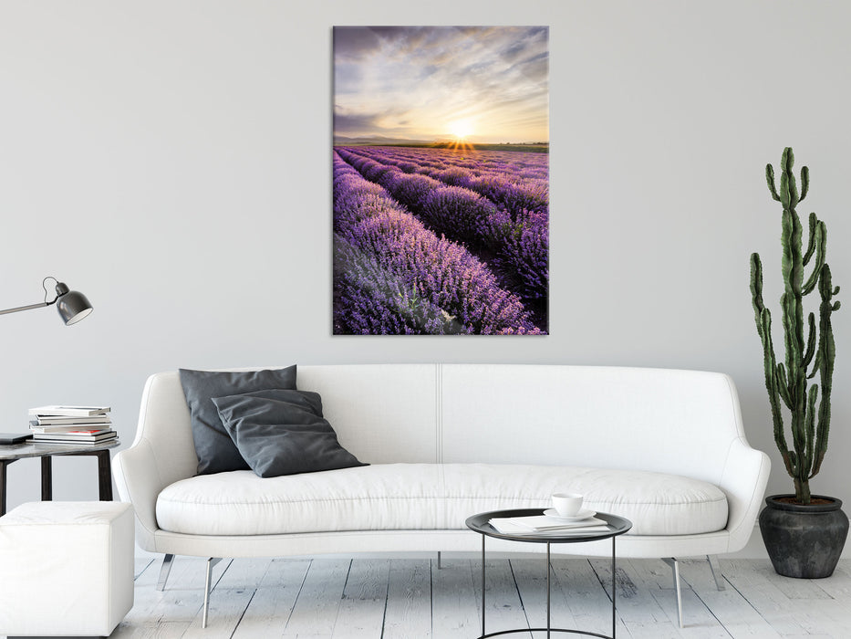 Traumhafte Lavendel Provence, Glasbild