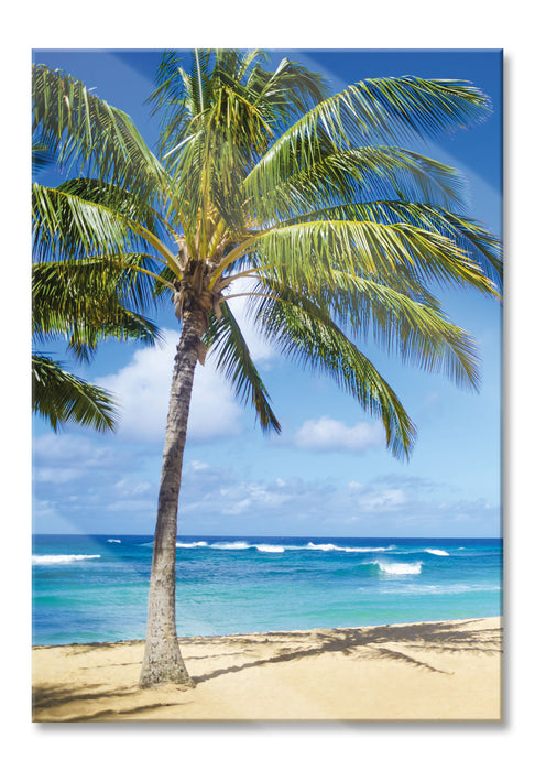 Wunderschöner Strand mit Palmen, Glasbild