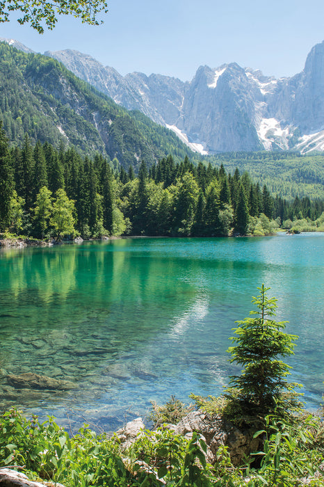 Bergsee mit Wald, Glasbild