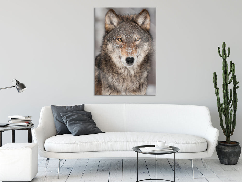 Wachsamer Wolf, Glasbild