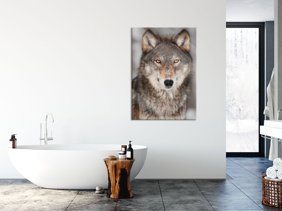 Wachsamer Wolf, Glasbild