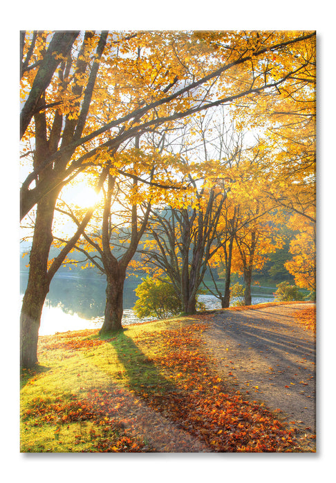 Sonniger Park am See, Glasbild