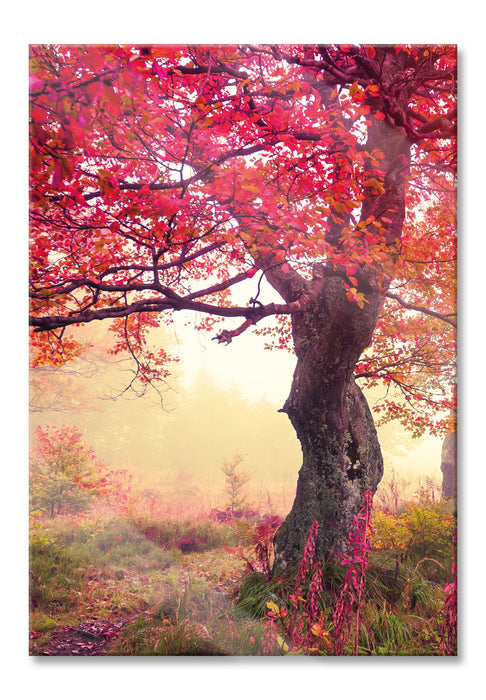 Pixxprint Traumhafte Herbstlandschaft, Glasbild