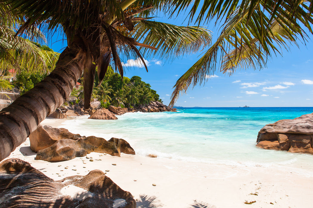 Palmenstrand Seychellen, Glasbild