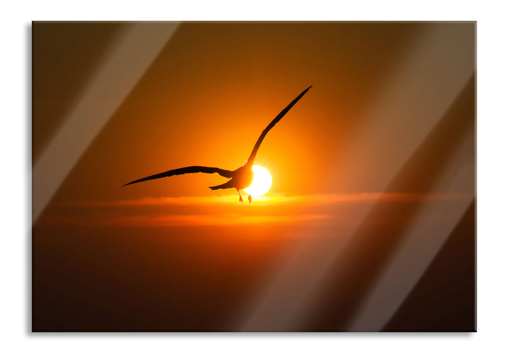 Pixxprint Möwe fliegt in den Sonnenuntergang, Glasbild