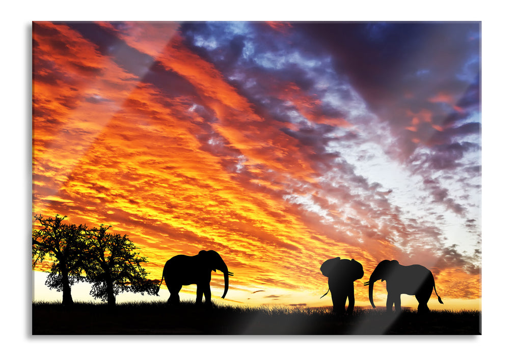 Pixxprint Elefanten in Wüste, Glasbild