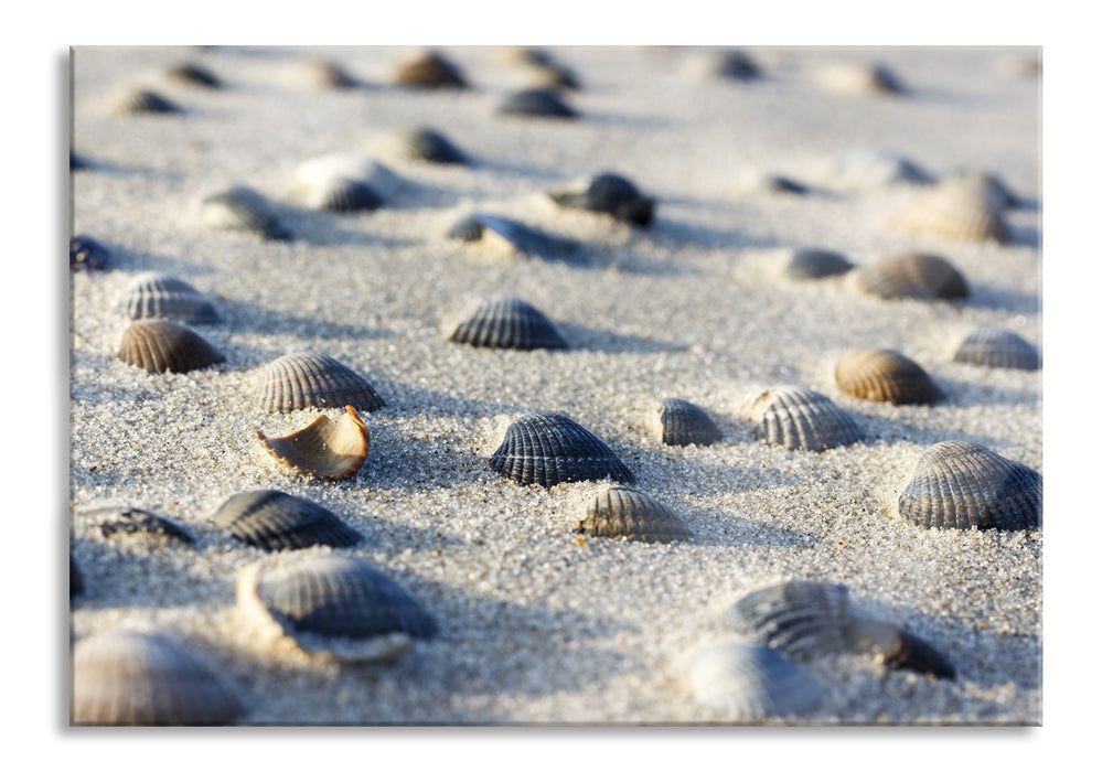 Muscheln im Sand, Glasbild