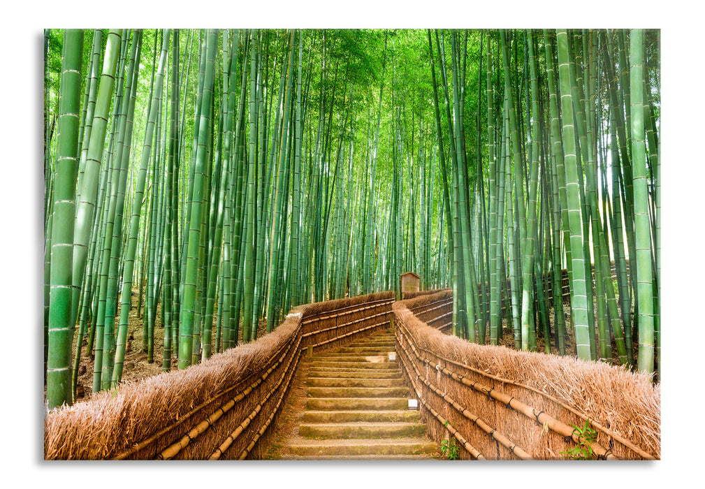 Pixxprint Kyoto Japan Bambuswald, Glasbild