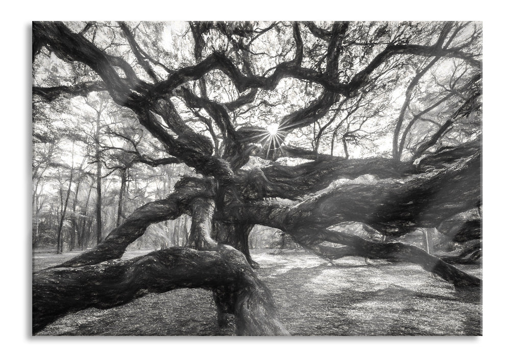 Baum, Glasbild