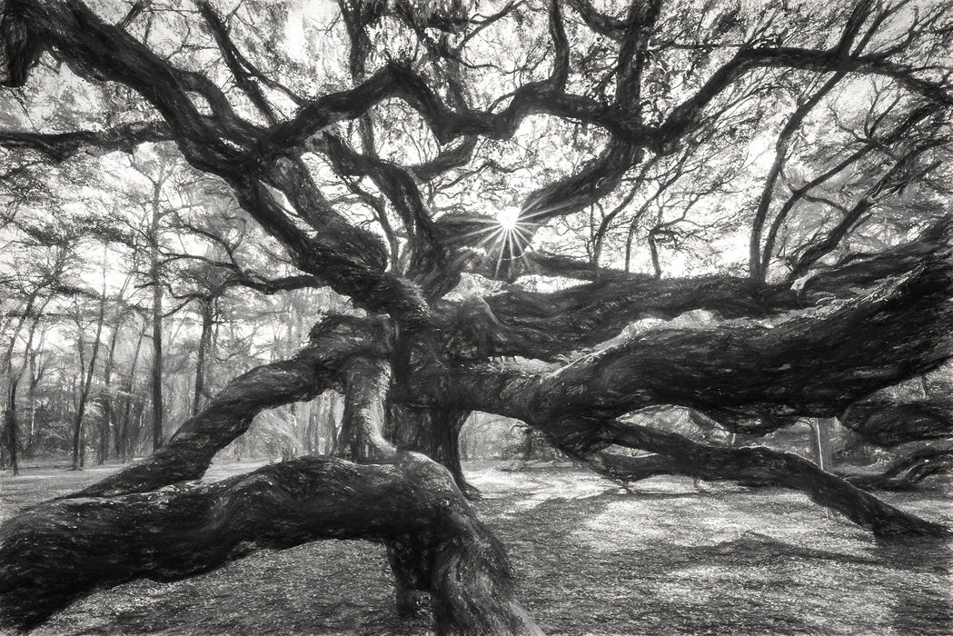 Baum, Glasbild