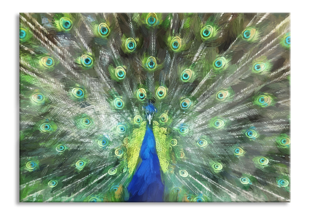 Pfau mit seinem Gefieder, Glasbild