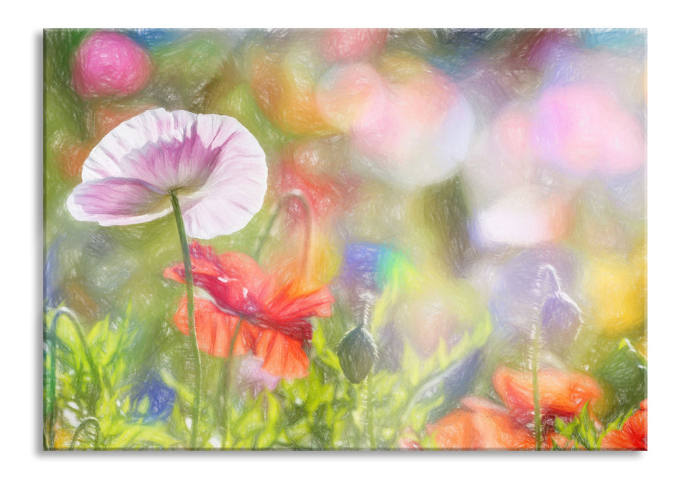 Kalifornischer Mohn im Frühling, Glasbild