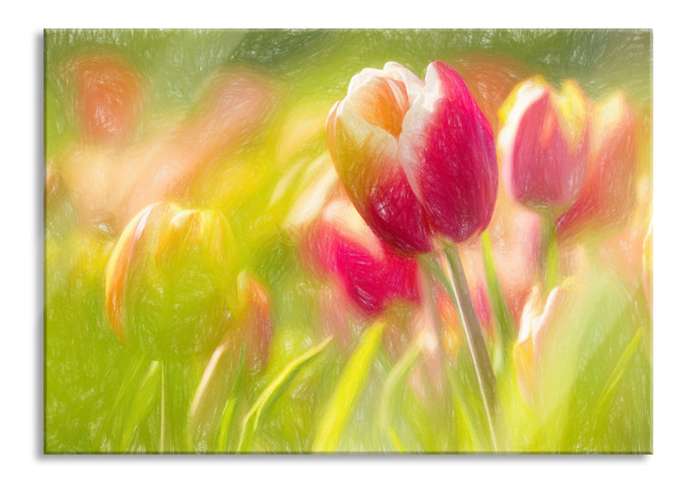 Blühende Tulpen, Glasbild