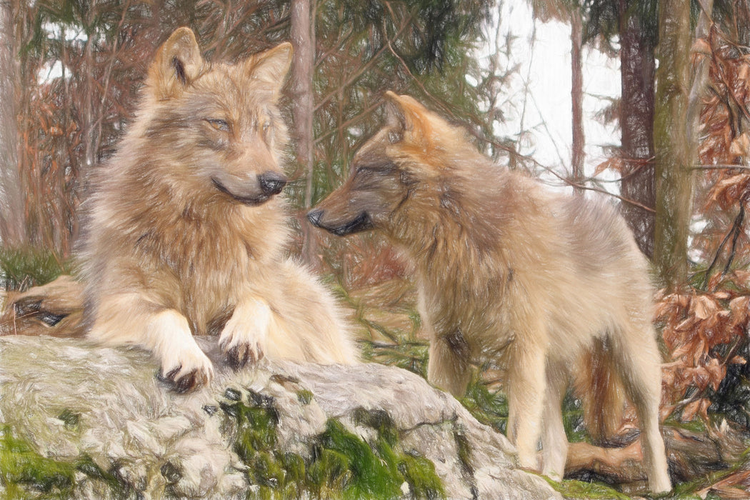 Wölfe im Wald, Glasbild