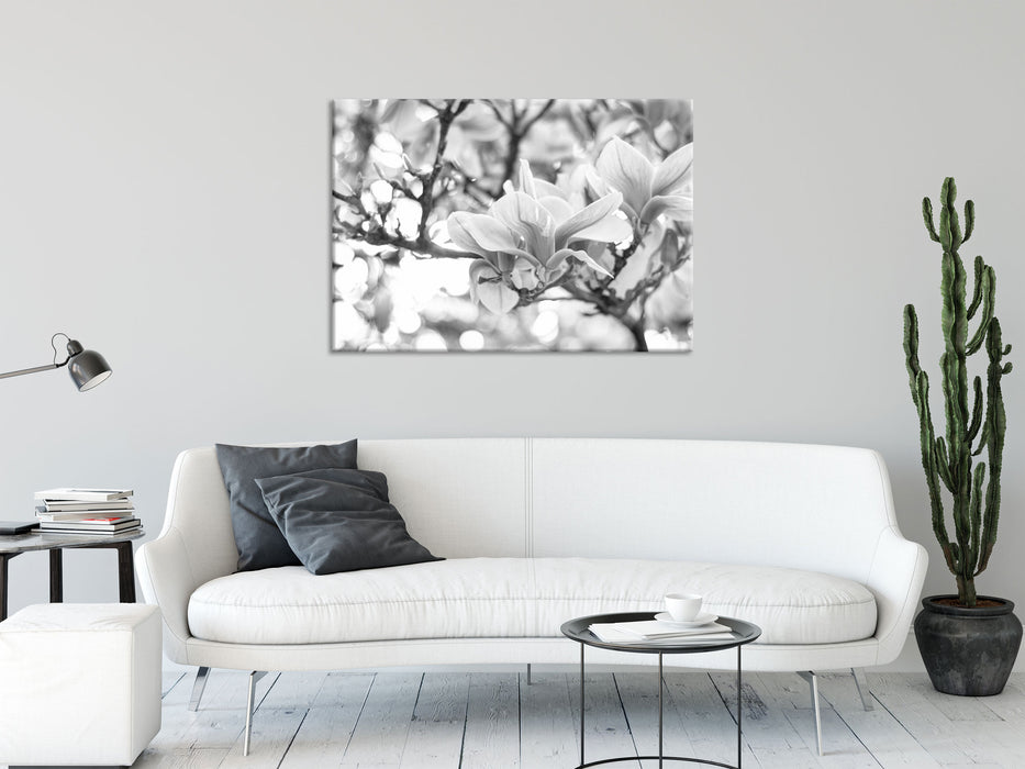 Magnolienblüten im Frühling, Glasbild