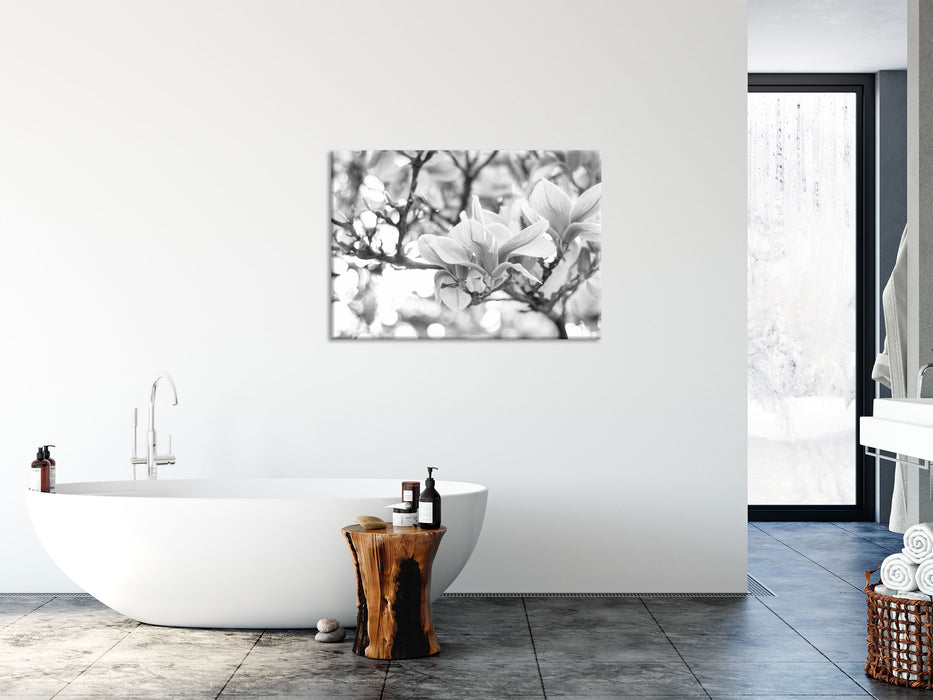 Magnolienblüten im Frühling, Glasbild