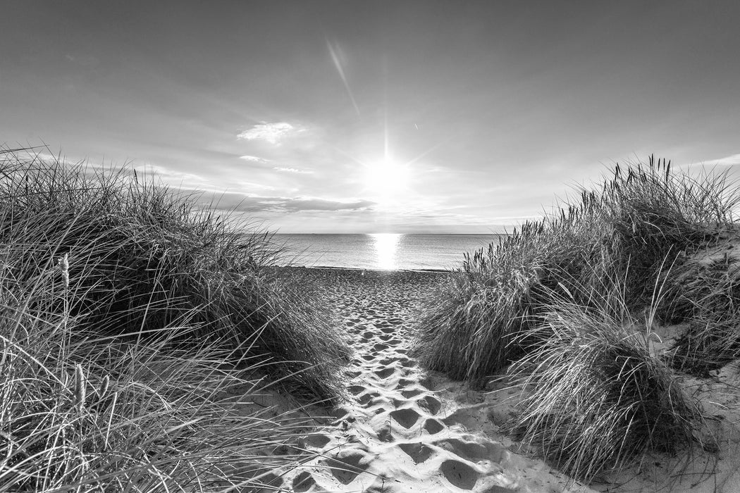 der Weg ins Meer Kunst B&W, Glasbild