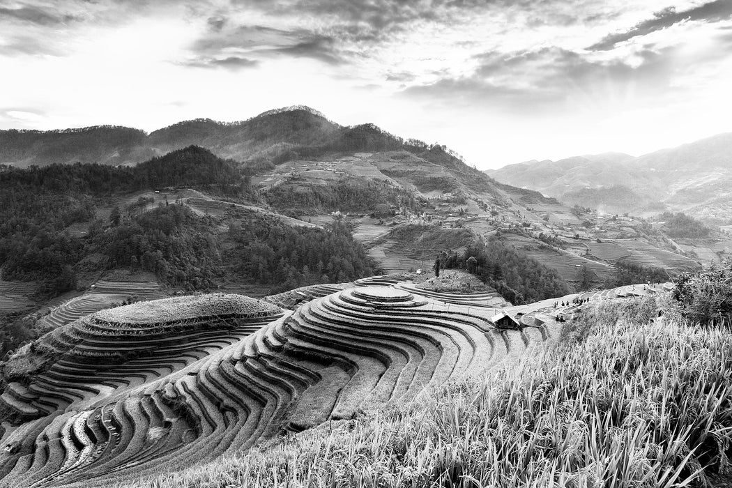 Reisfelder in Vietnam, Glasbild