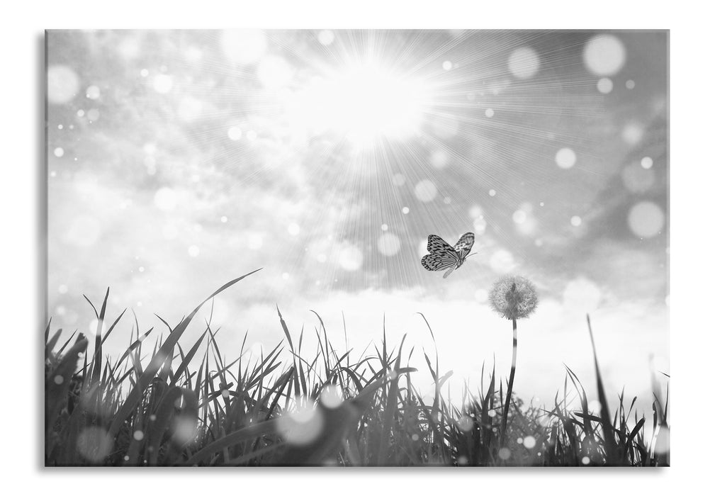 Pixxprint Schmetterling fliegt zu Pusteblume, Glasbild