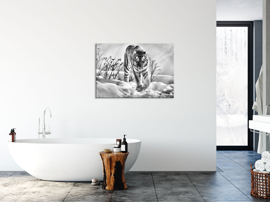 Tiger, Schnee, Glasbild