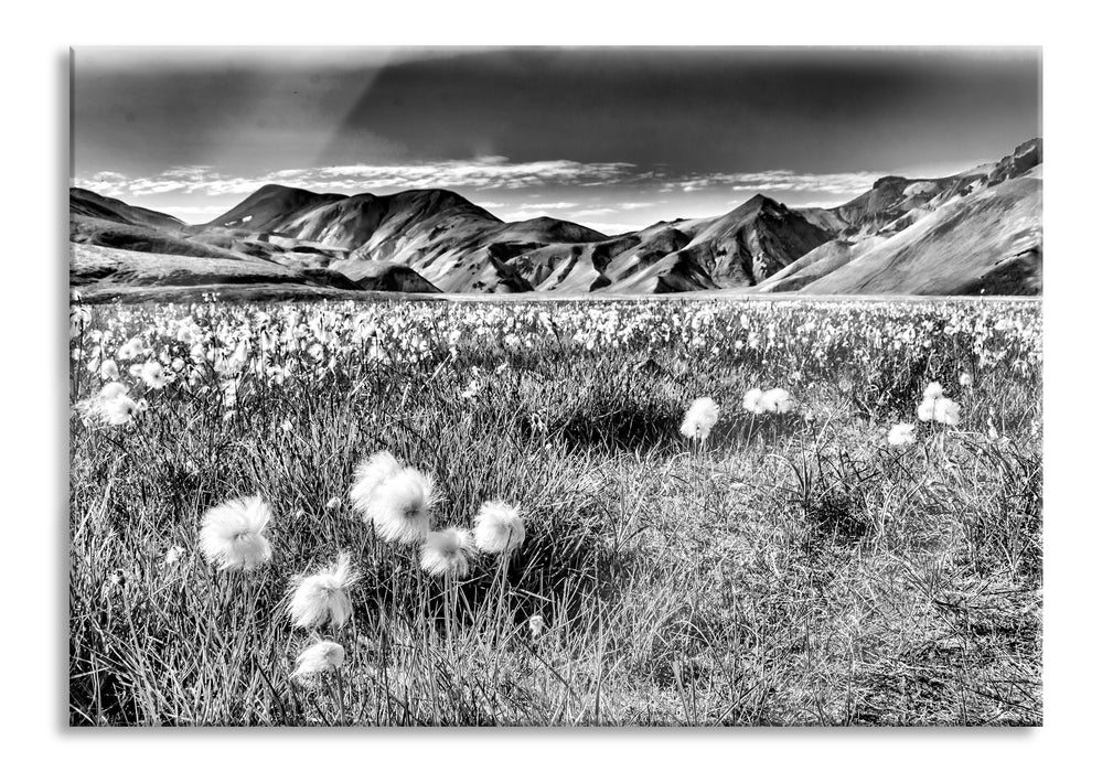 Pixxprint Alpenwiese, Glasbild