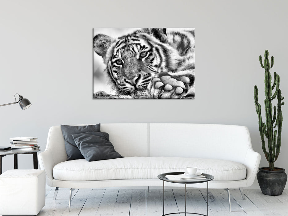 Tiger, Glasbild