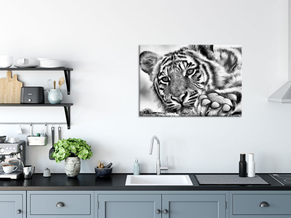 Tiger, Glasbild