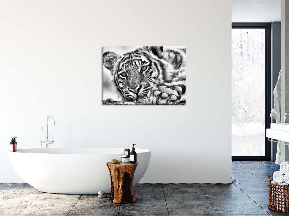 Tiger, Glasbild