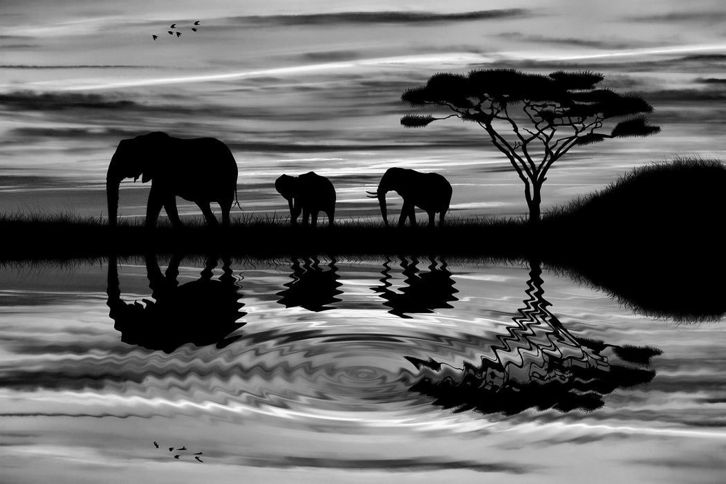 Afrika Elefant in Sonnenschein, Glasbild