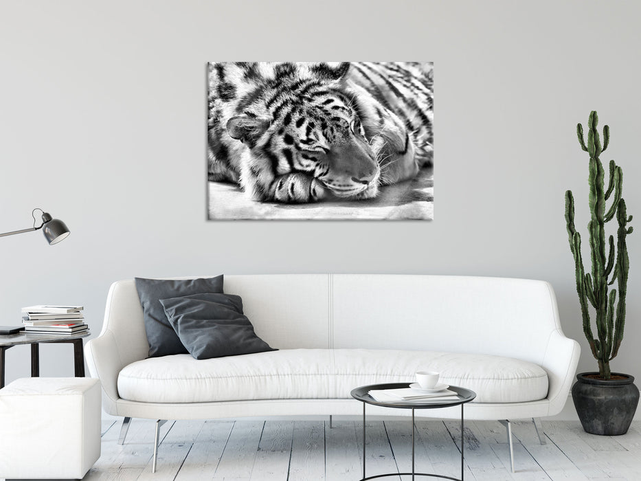 Verschlafener Tiger, Glasbild